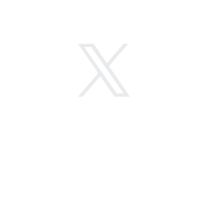 公式X